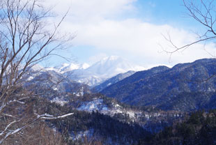 アクセス道より望む 雪のニペソツ山