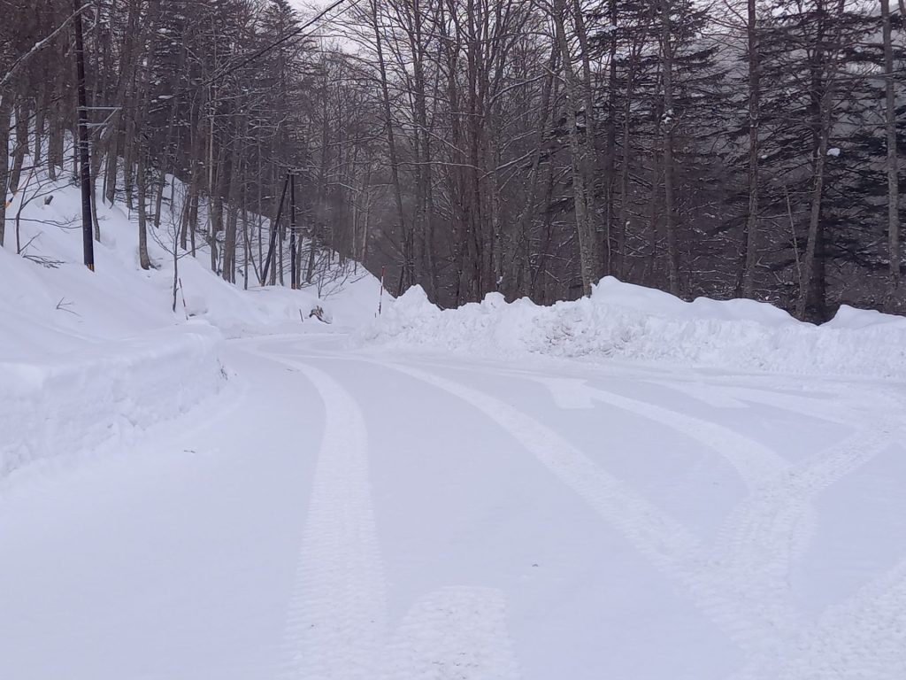 トムラウシ温泉道路状況