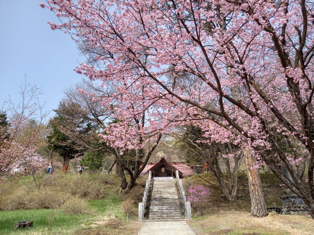 桜前線近づいてきました！