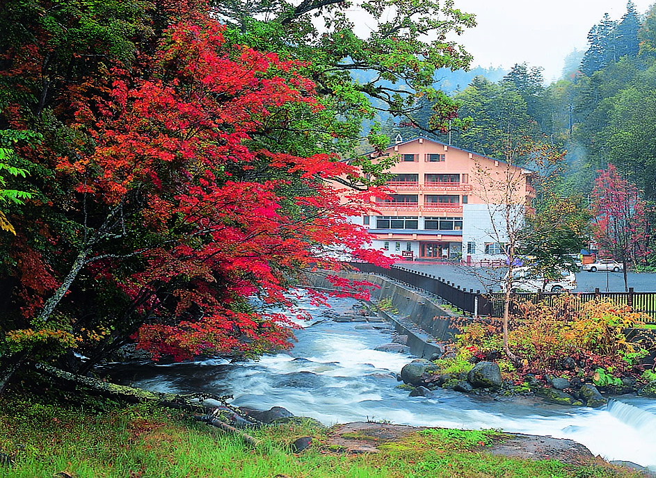 紅葉時期お弁当を販売します
